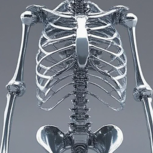 This is The 'Super Substitute' in Bone Replacement: How Titanium Alloy Becomes Human New Bone? photo